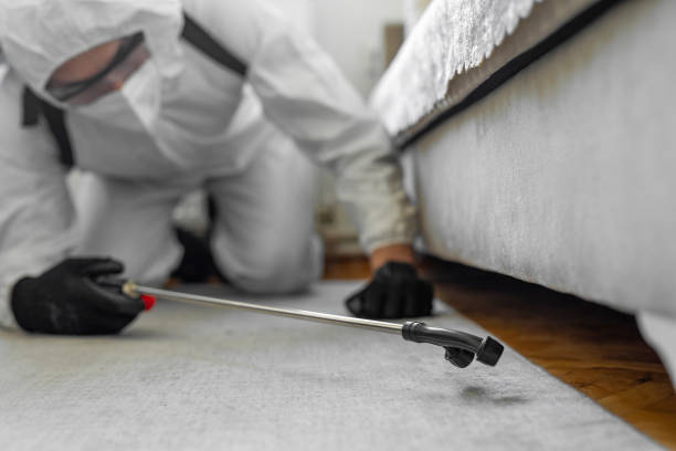 Professional Pest Control technician working in Henry County County, IN